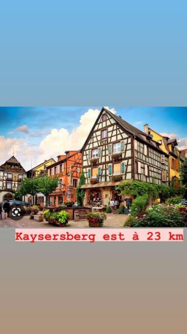 Apartment La Grange Proche D'europapark Kunheim