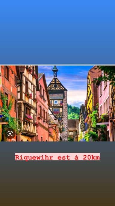 La Grange Proche D'europapark Apartment Kunheim