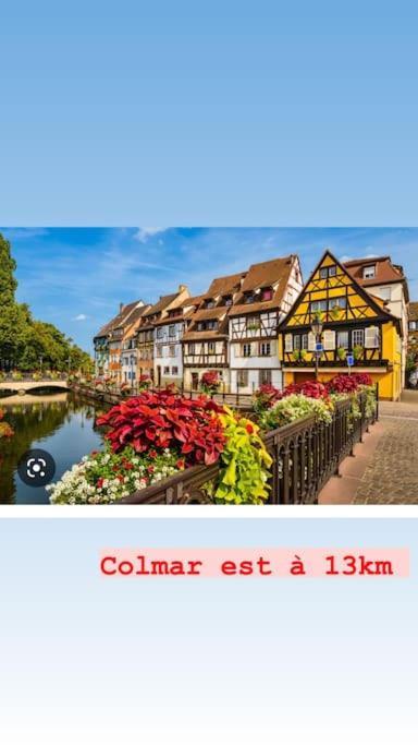 La Grange Proche D'europapark Apartment